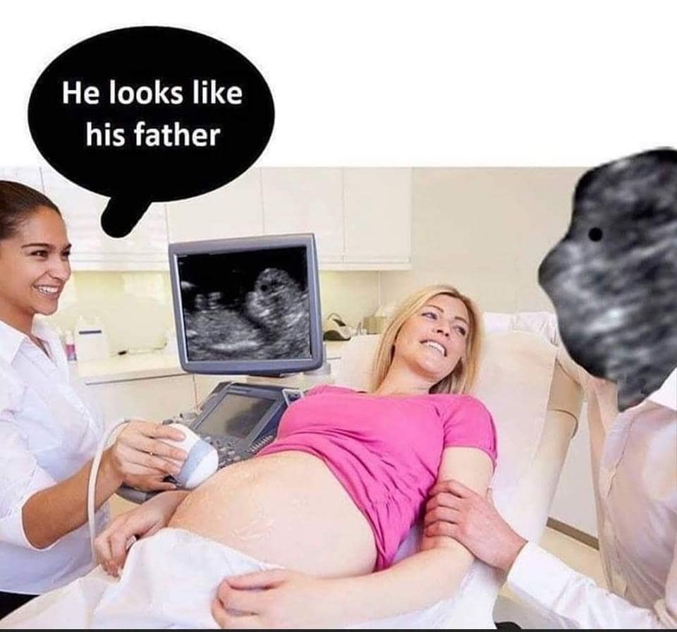 dank meme dumo