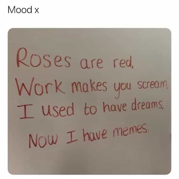 Mood x Roses are red, Work makes you scream, I used to have dreams, Now I have memes.