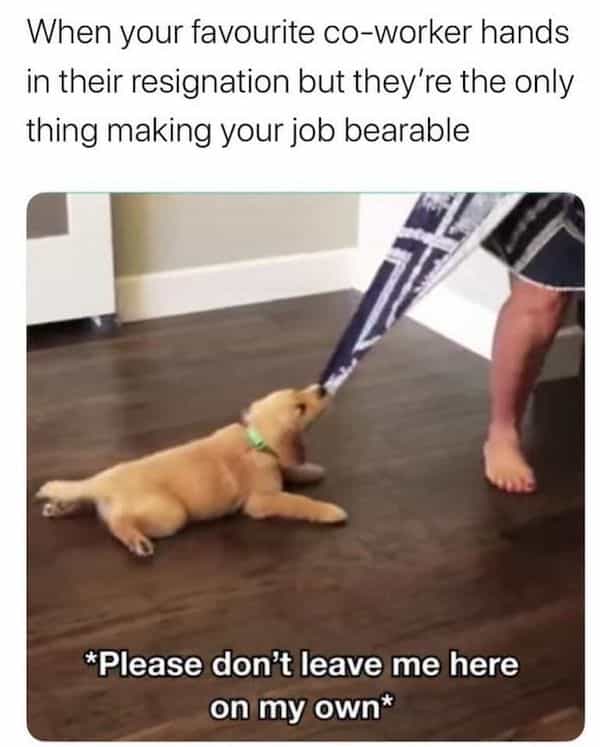 When your favourite co-worker hands in their resignation but they're the only thing making your job bearable *Please don't leave me here on my own*