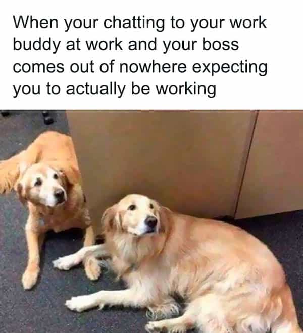 When your chatting to your work buddy at work and your boss comes out of nowhere expecting you to actually be working