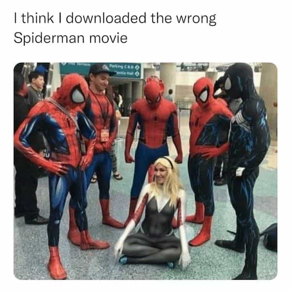 I think I downloaded the wrong Spiderman movie