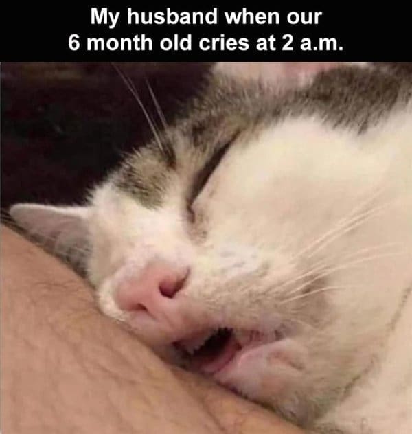 relationship memes