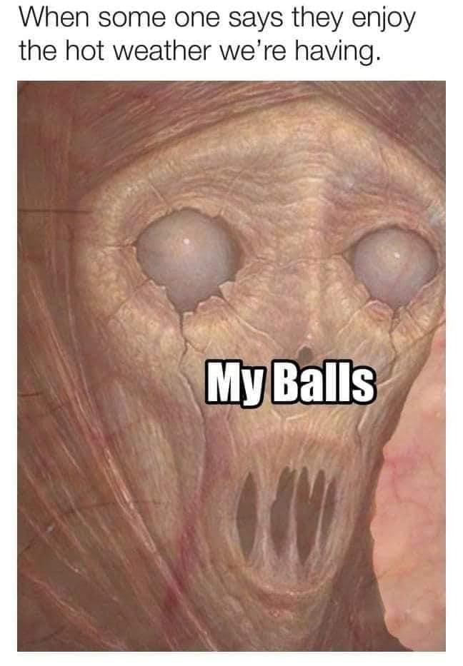 relatable memes