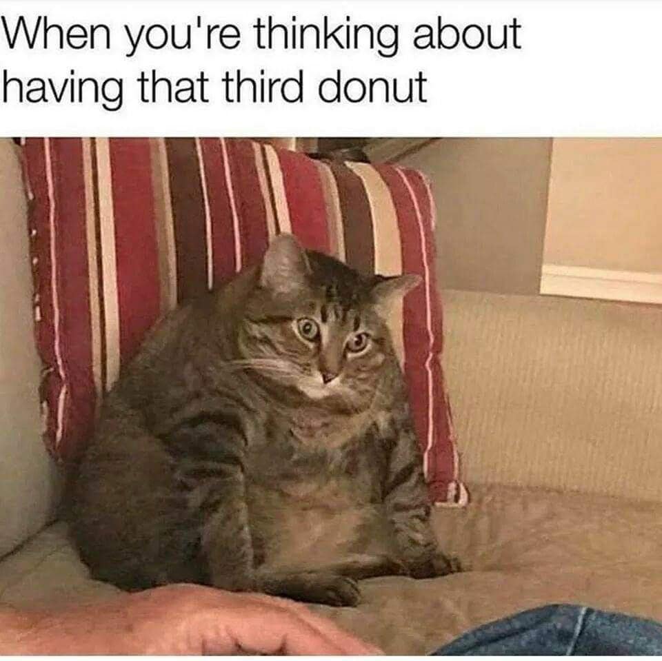 meme dump