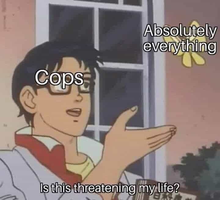 funny memes