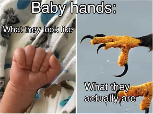 breastfeeding memes Baby hands: What they look like What they actually are