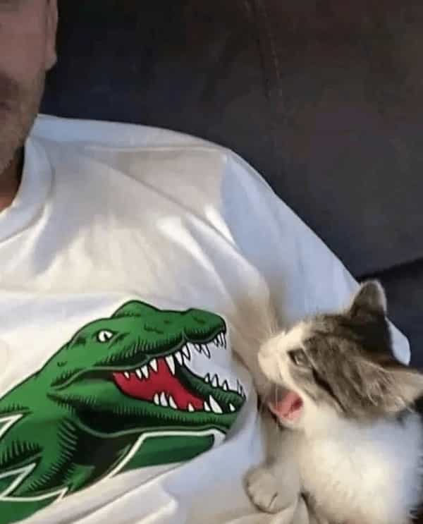 cursed images cat meowing at Lacoste t-shirt