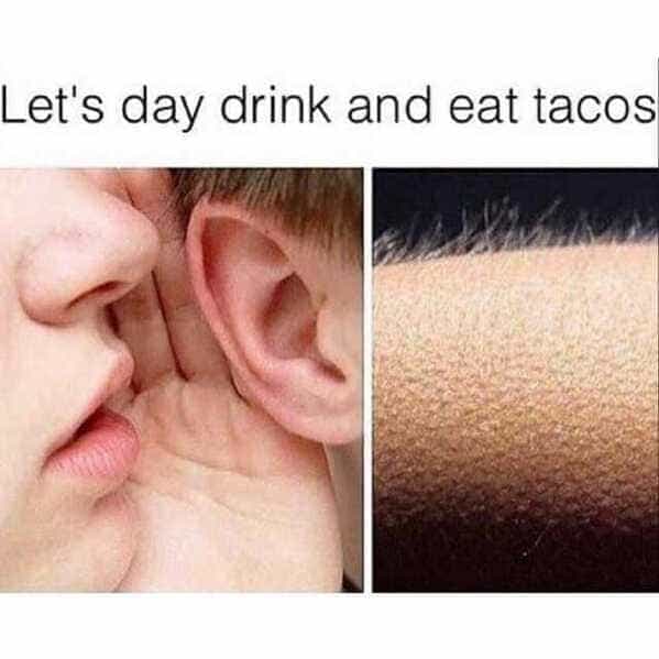 drinking meme Let's day drink and eat tacos
