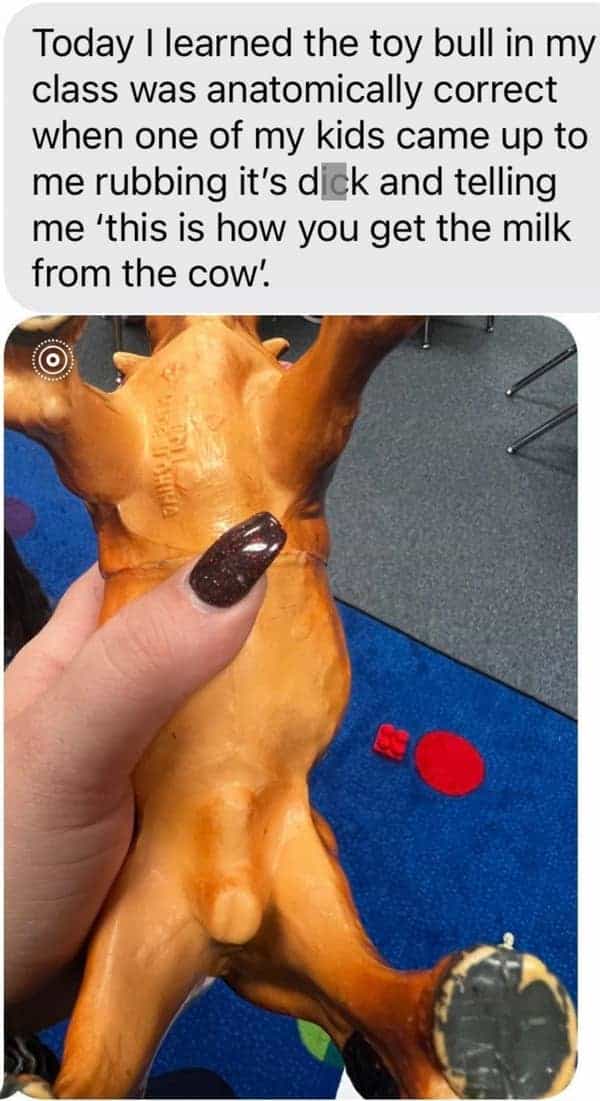 funny teacher student Today I learned the toy bull in my class was anatomically correct when one of my kids came up to me rubbing it's and telling me 'this is how you get the milk from the cow.