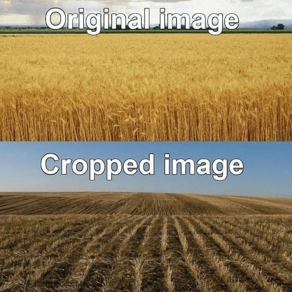 literal jokes Original image Cropped image