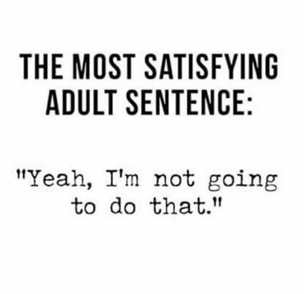 over 30 memes THE MOST SATISFYING ADULT SENTENCE: "Yeah, I'm not going to do that."
