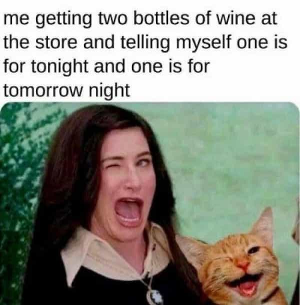 over 30 memes me getting two bottles of wine at the store and telling myself one is for tonight and one is for tomorrow night