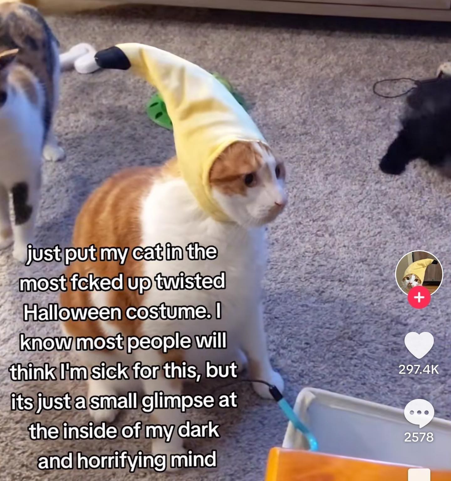 pics funny just put my cat in the most fcked up twisted Halloween costume. I know most people will think I'm sick for this, but its just a small glimpse at the inside of my dark and horrifying mind