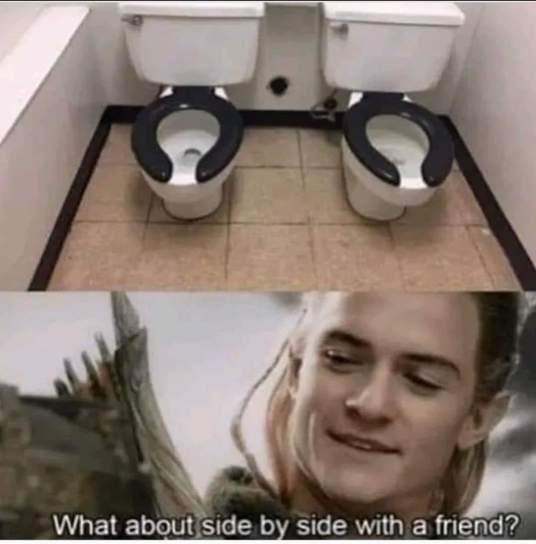 funny memes side by side toilets What about side by side with a friend?
