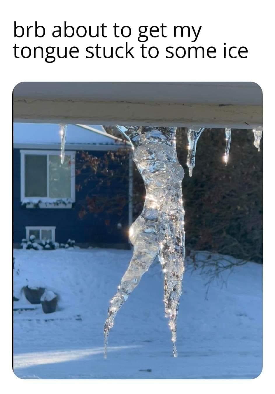 funny pics bro about to get my tongue stuck to some ice