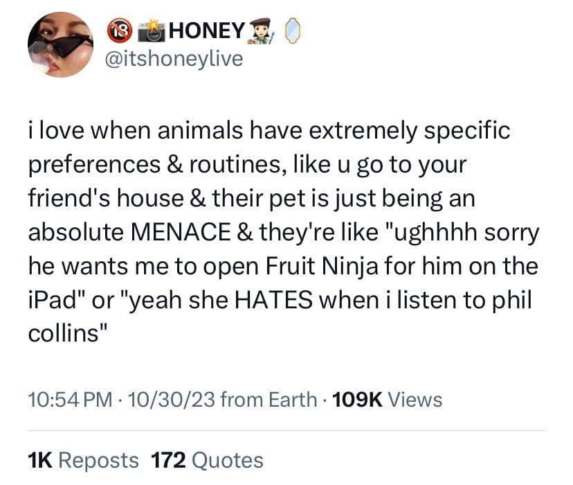 meme dump
