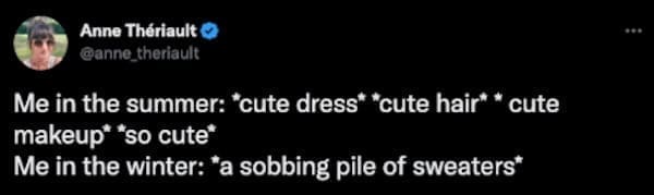 winter memes Me in the summer: *cute dress* *cute hair* * cute makeup* *so cute* Me in the winter: *a sobbing pile of sweaters*