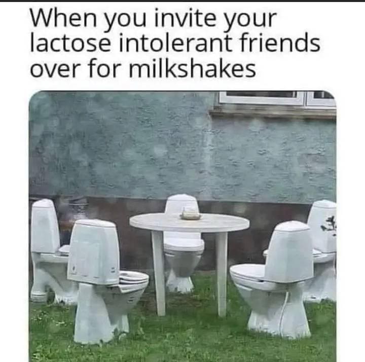 funny pics