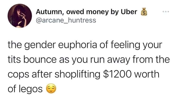 funny pics the gender euphoria of feeling your tees bounce as you run away from the cops after shoplifting $1200 worth of legos