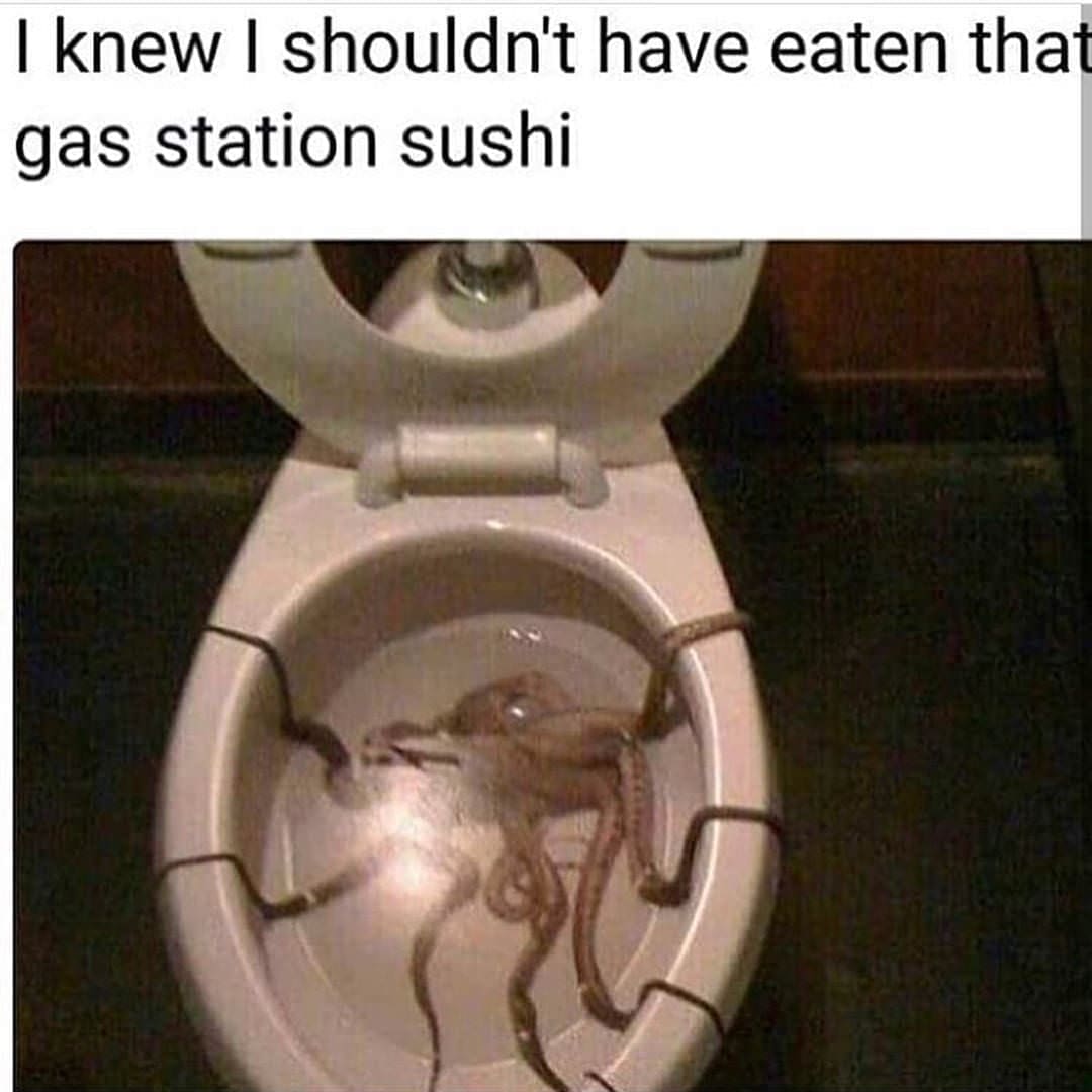 funny pics I knew I shouldn't have eaten that gas station sushi