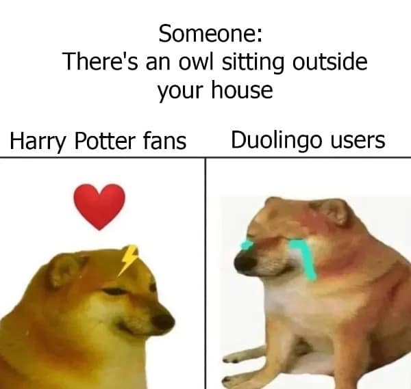 meme dump