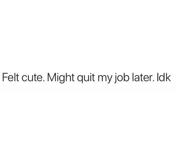 Work from home memes Felt cute. Might quit my job later. Idk