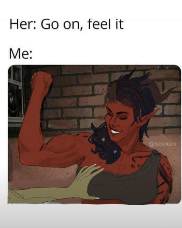 baldurs gate memes, sword coast