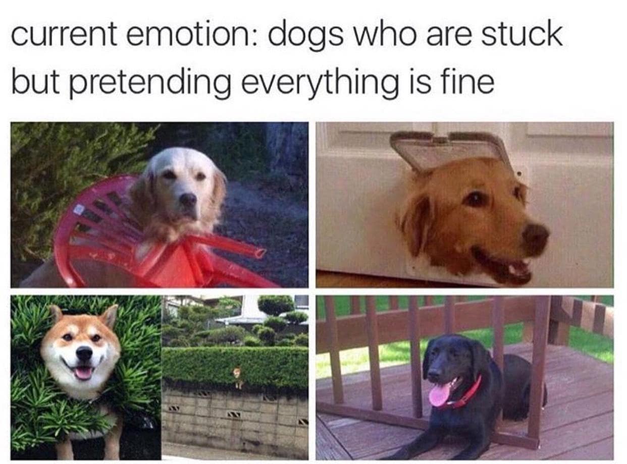 classic memes, vintage memes