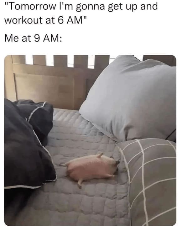 diet memes, fitness humor