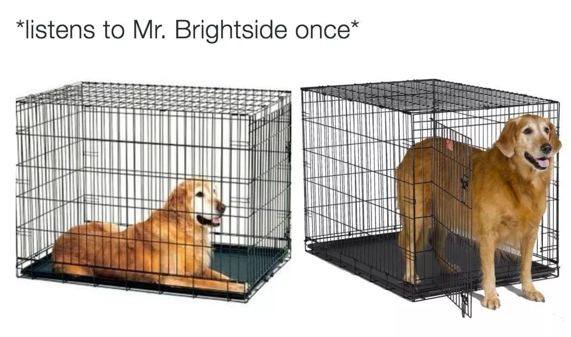 Emo memes *listens to Mr. Brightside once*