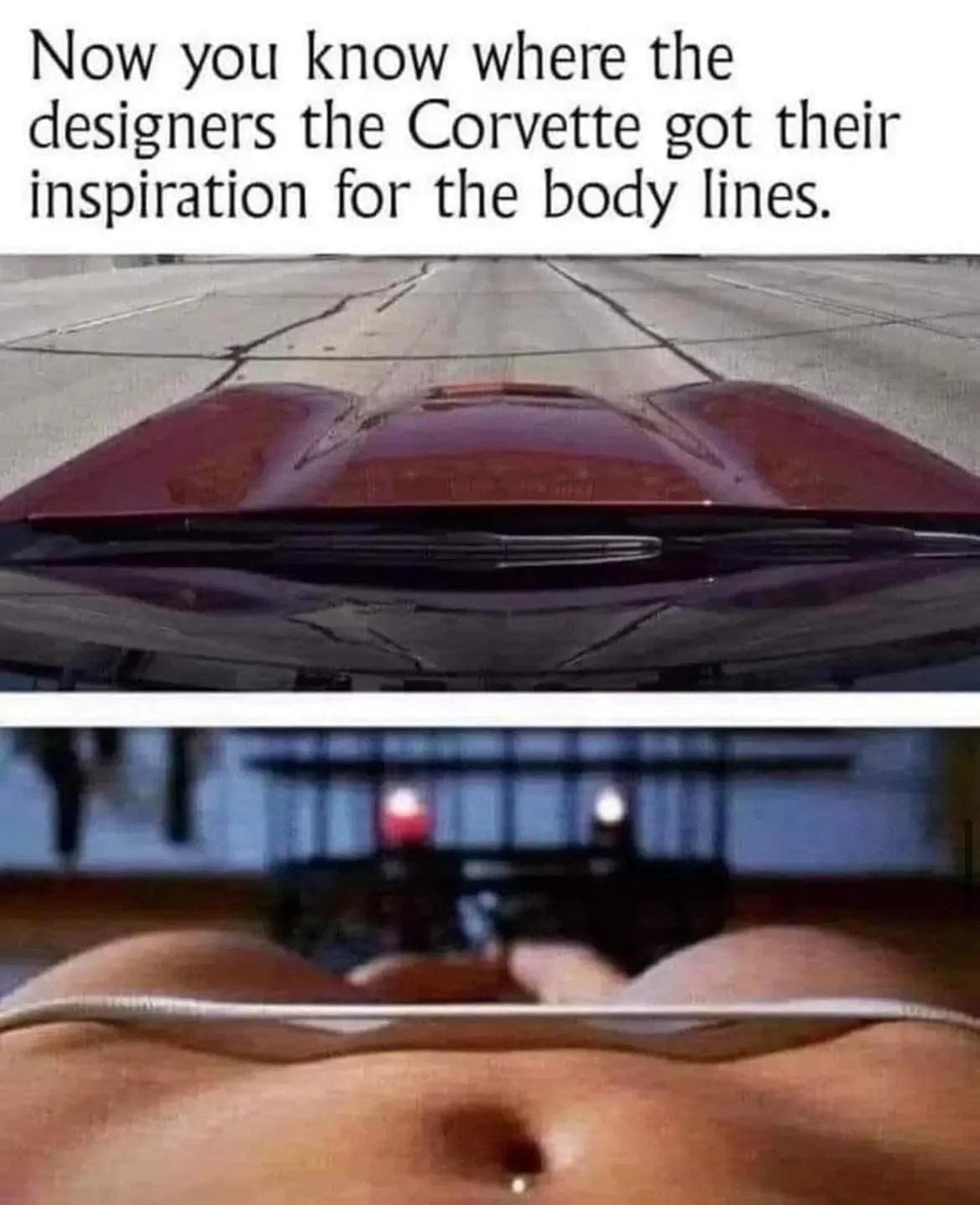 funny memesNow you know where the designers the Corvette got their inspiration for the body lines.