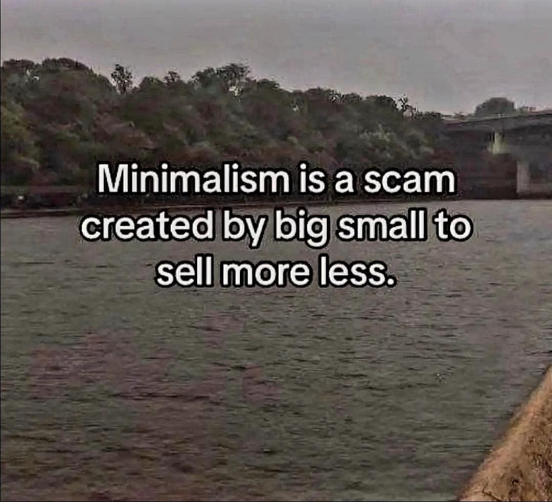 funny memes Minimalism is a scam created by big small to sell more less.