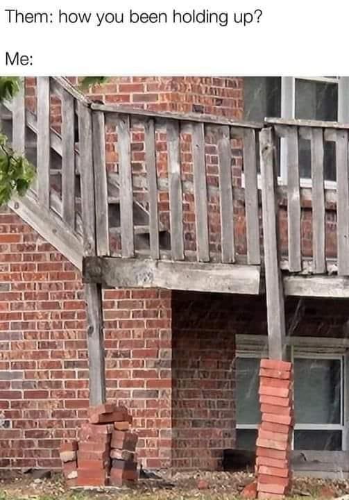 funny memes Them: how you been holding up? Me: