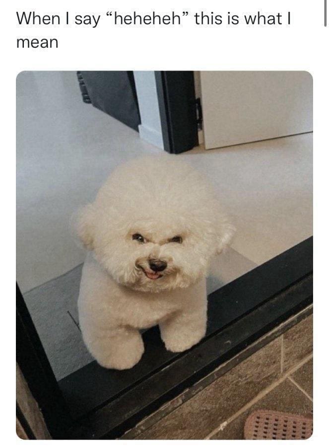funny memes When I say "heheheh" this is what I mean
