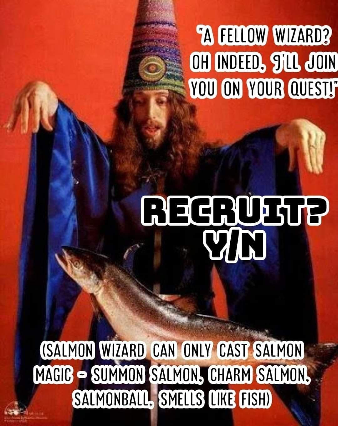 funny memes "A FELLOW WIZARD? OH INDEED, gILL JOIN YOU ON YOUR QUEST!* RECRUIT? VIN (SALMON WIZARD CAN ONLY CAST SALMON MAGIC • SUMMON SALMON. CHARM SALMON. SALMONBALL, SMELLS LIKE FISH)