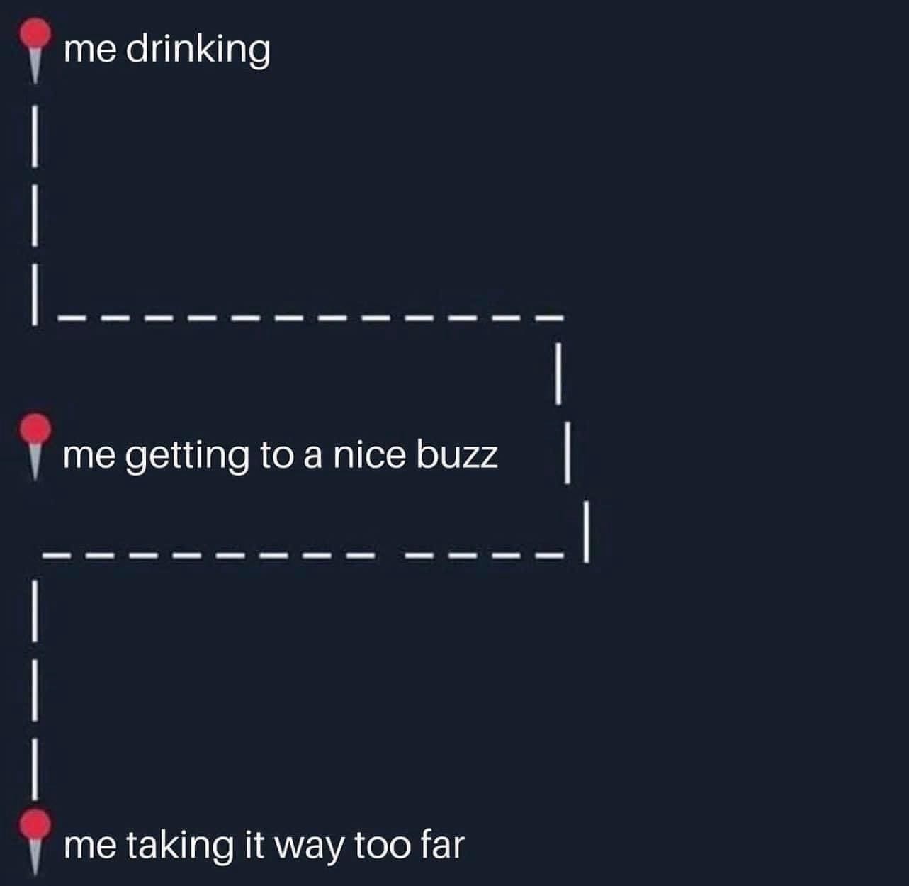 funny memes me drinking Y me getting to a nice buzz me taking it way too far