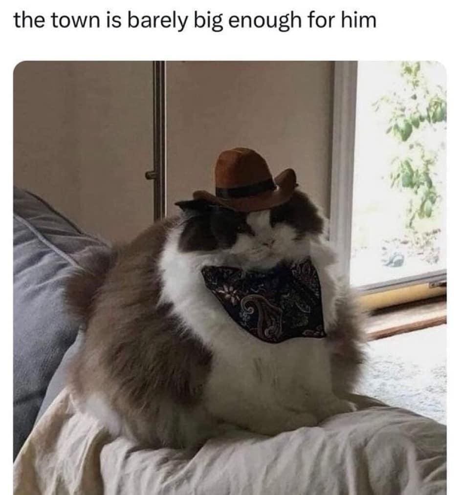funny memes the town is barely big enough for him