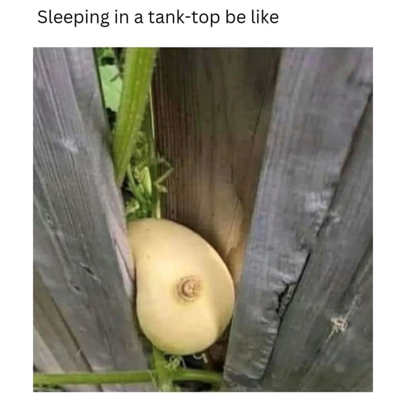 funny pics Sleeping in a tank-top be like