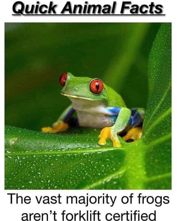 funny pics Quick Animal Facts The vast majority of frogs aren't forklift certified