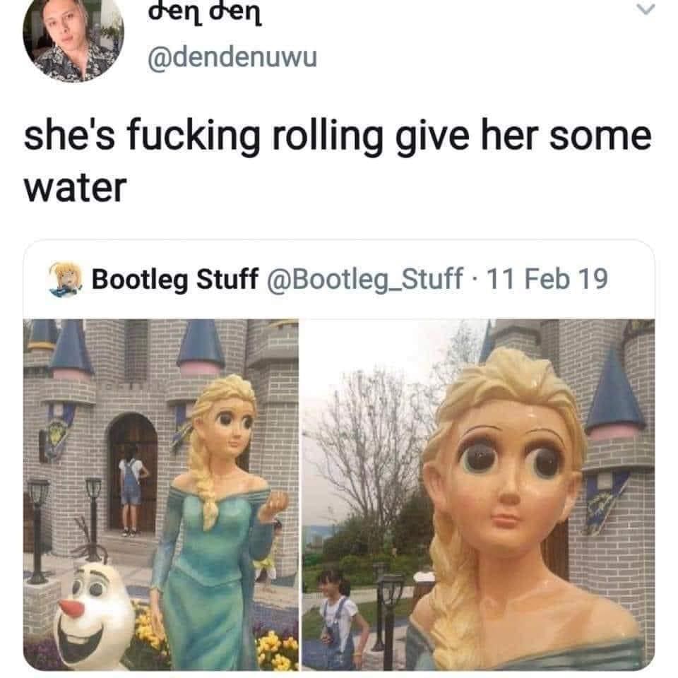 funny pics