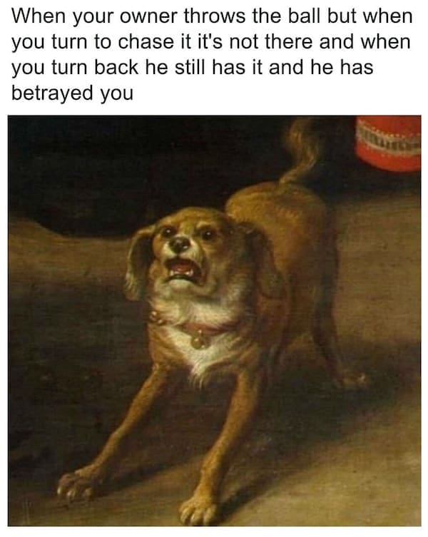 History Memes When your owner throws the ball but when you turn to chase it it's not there and when you turn back he still has it and he has betrayed you