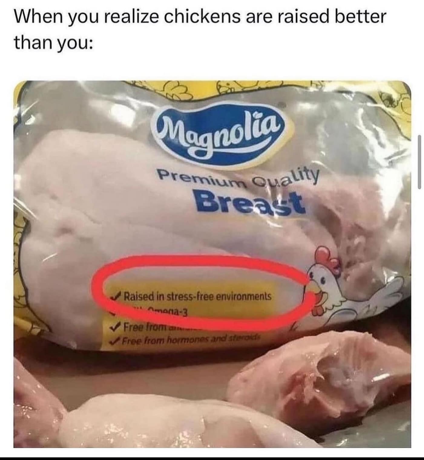 meme dump, hilarious memes