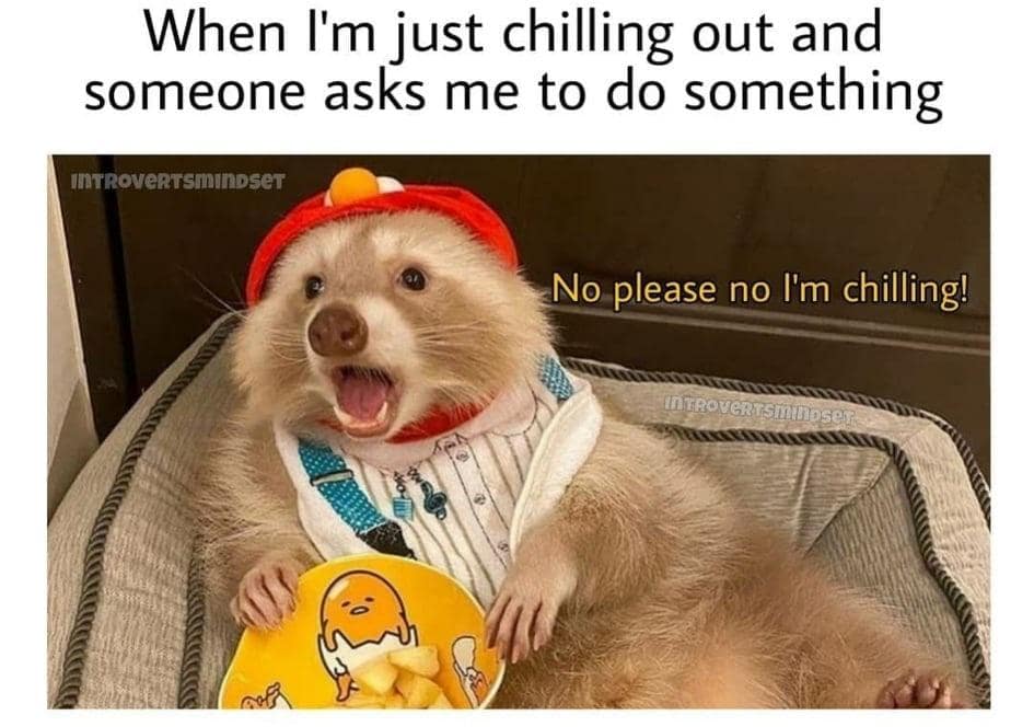 meme dump, hilarious memes