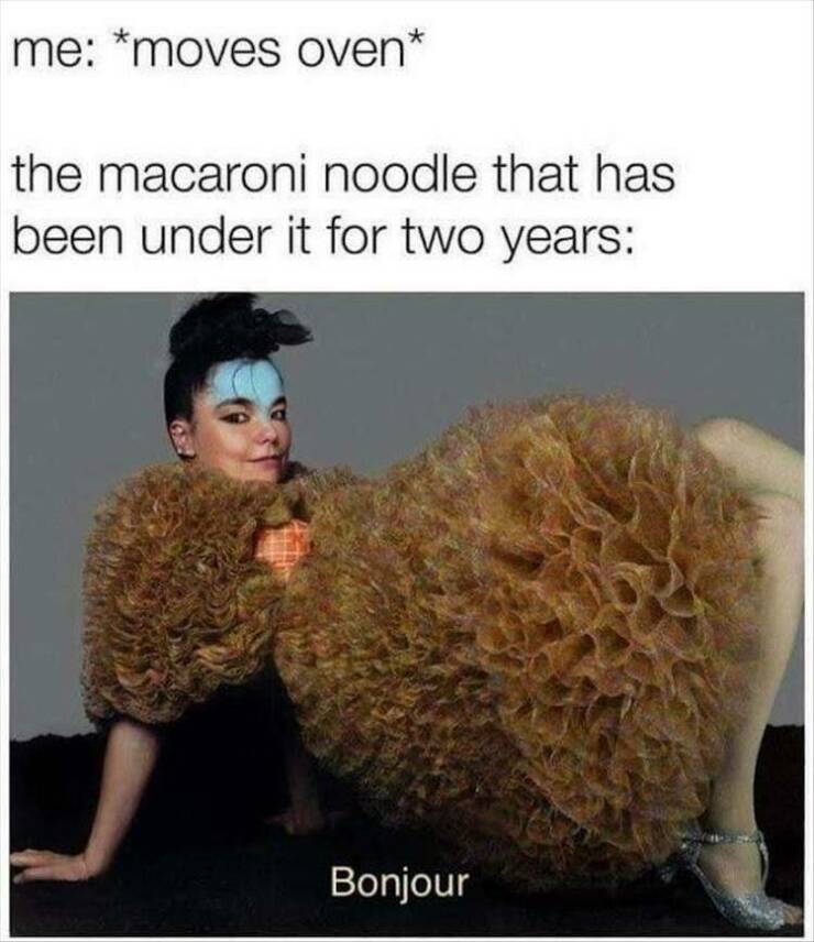 meme dump, hilarious memes