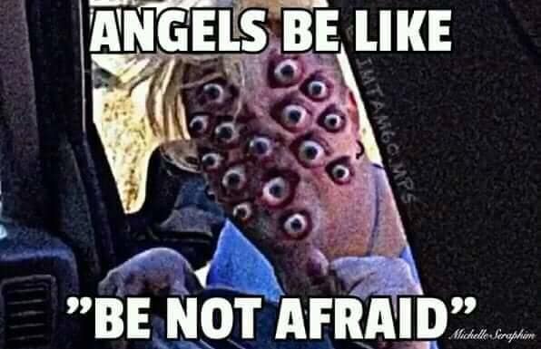 meme dump, hilarious memes