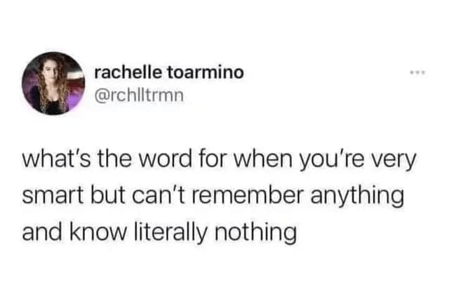 Procrastination Memes what's the word for when you're very smart but can't remember anything and know literally nothing