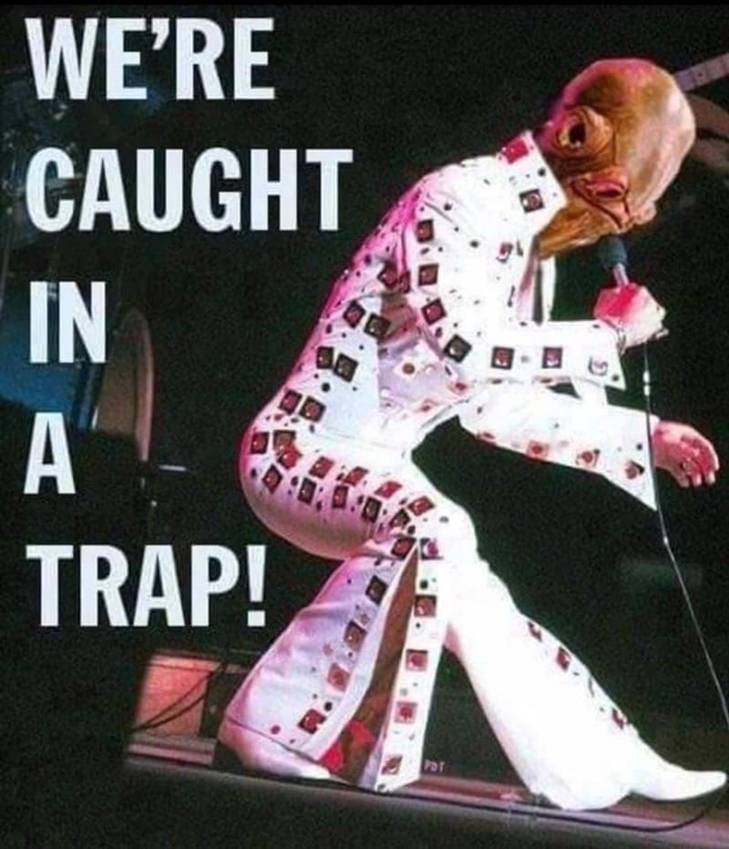 Puns Using Song Lyrics WE'RE CAUGHT IN A TRAP!