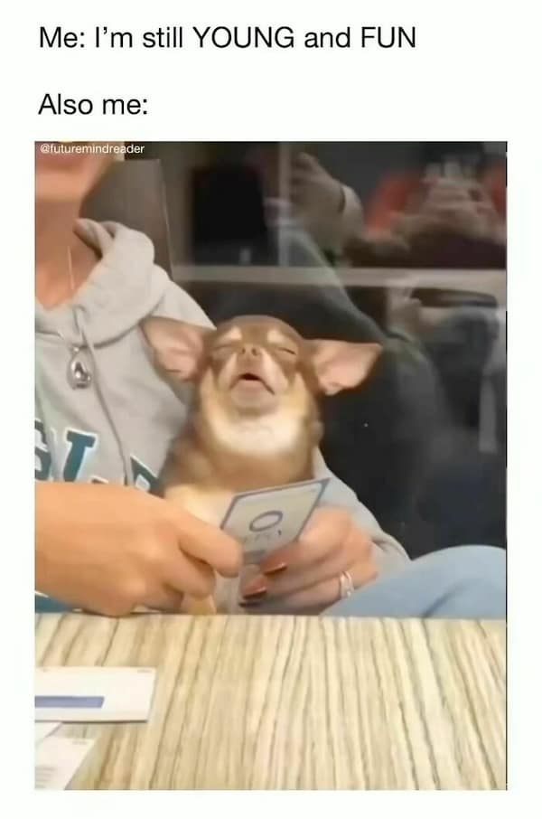 relatable memes, relatable humor