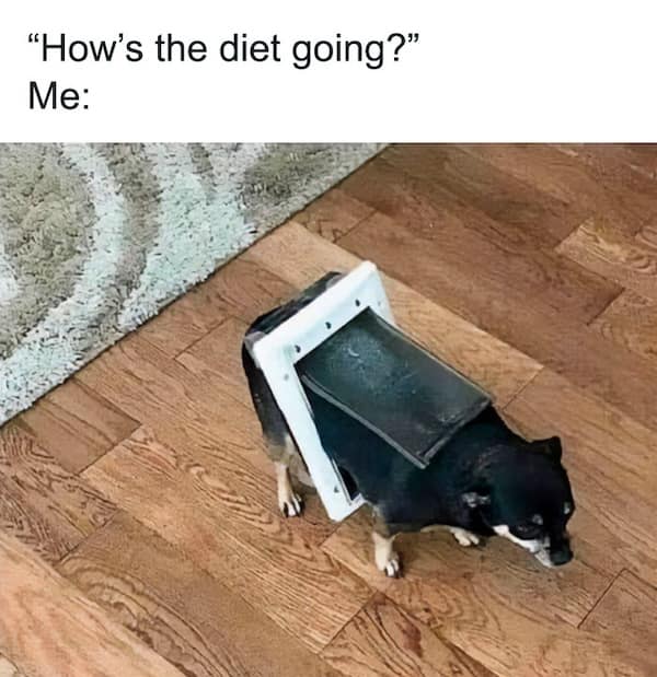 relatable memes, relatable humor