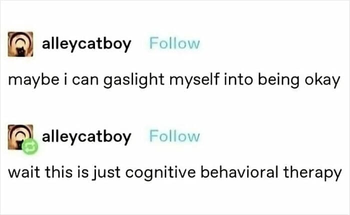 Therapy memes maybe i can gaslight myself into being okay wait this is just cognitive behavioral therapy